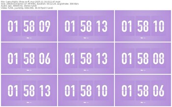 cams-ff_mur-11-16-2025-01-11-47