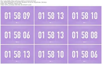 cams-ff_mur-11-16-2025-01-11-47