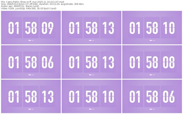 cams-ff_mur-11-16-2025-01-11-47