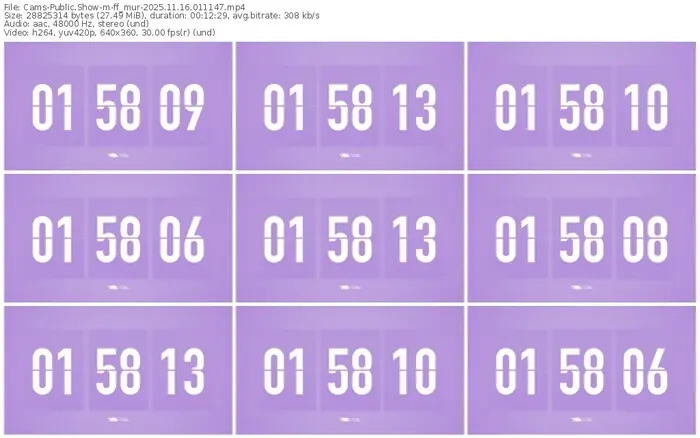 cams-ff_mur-11-16-2025-01-11-47