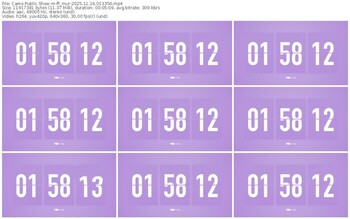 cams-ff_mur-11-16-2025-01-33-56