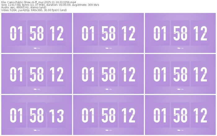 cams-ff_mur-11-16-2025-01-33-56