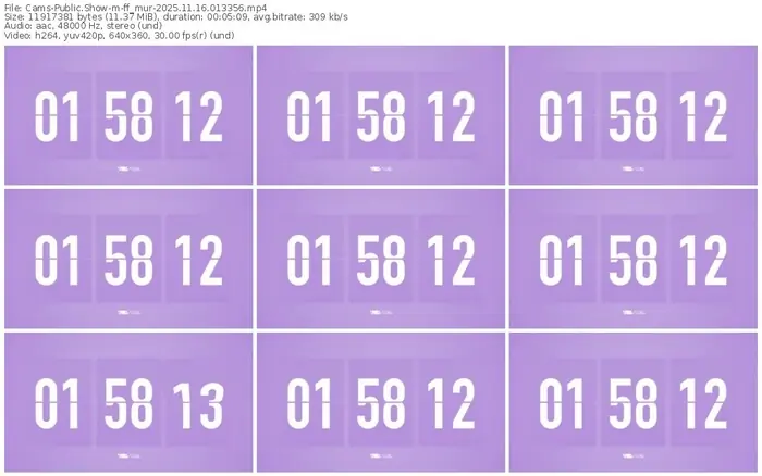 cams-ff_mur-11-16-2025-01-33-56