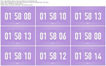 cams-ff_mur-11-16-2025-01-40-14