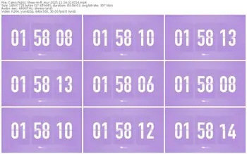 cams-ff_mur-11-16-2025-01-40-14