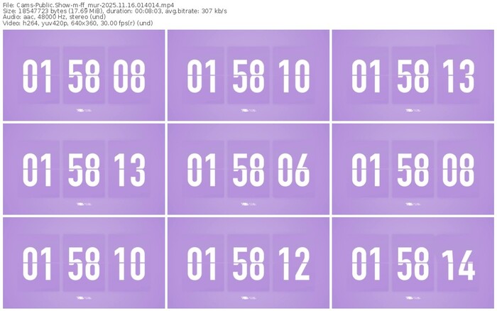 cams-ff_mur-11-16-2025-01-40-14