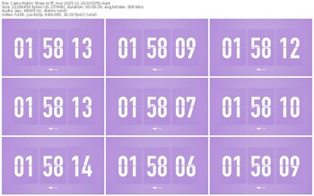 cams-ff_mur-11-16-2025-01-50-55