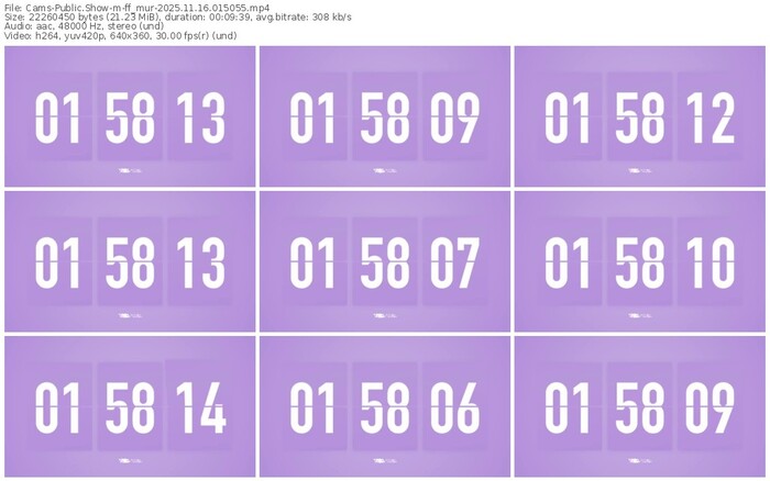 cams-ff_mur-11-16-2025-01-50-55