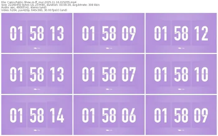 cams-ff_mur-11-16-2025-01-50-55