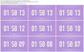 cams-ff_mur-11-16-2025-02-00-52