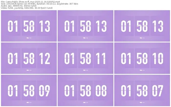 cams-ff_mur-11-16-2025-02-00-52