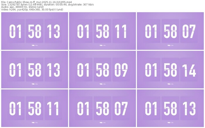cams-ff_mur-11-16-2025-02-18-55