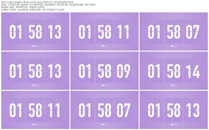 cams-ff_mur-11-16-2025-02-18-55