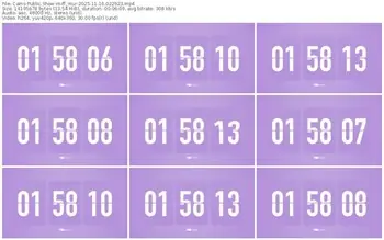 cams-ff_mur-11-16-2025-02-29-23