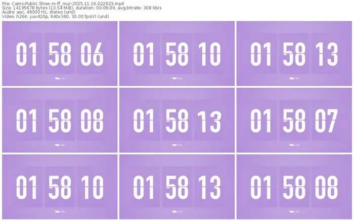 cams-ff_mur-11-16-2025-02-29-23