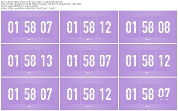 cams-ff_mur-11-16-2025-02-55-18