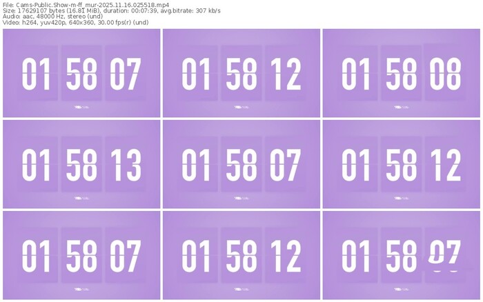 cams-ff_mur-11-16-2025-02-55-18