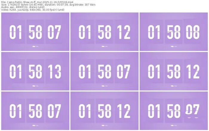 cams-ff_mur-11-16-2025-02-55-18
