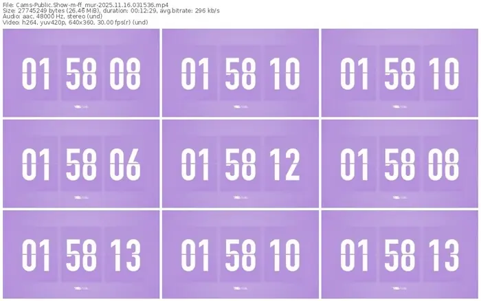 cams-ff_mur-11-16-2025-03-15-36