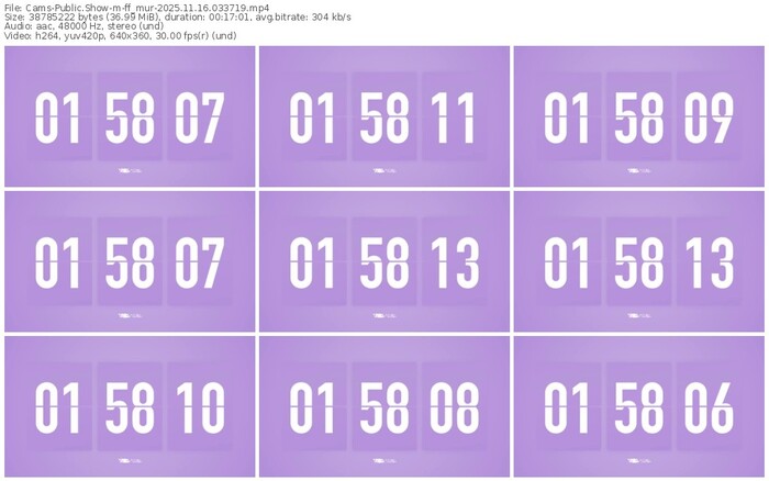 cams-ff_mur-11-16-2025-03-37-19