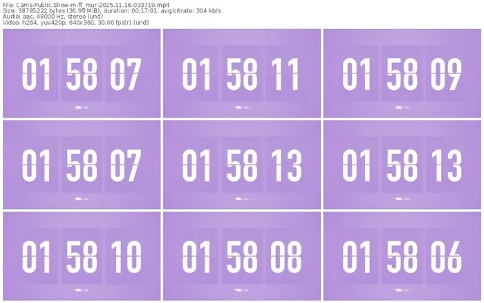 cams-ff_mur-11-16-2025-03-37-19