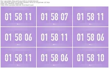 cams-ff_mur-11-16-2025-04-15-29