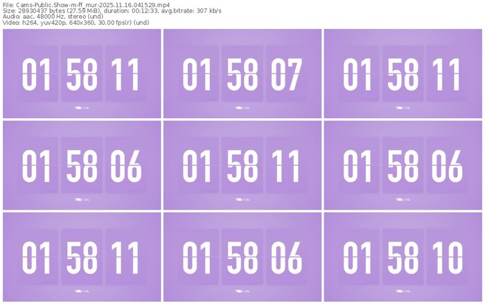 cams-ff_mur-11-16-2025-04-15-29