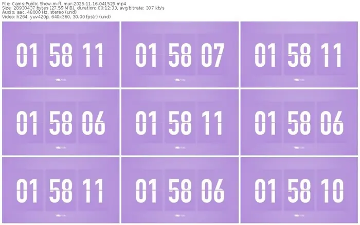 cams-ff_mur-11-16-2025-04-15-29