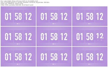 cams-ff_mur-11-16-2025-04-28-51