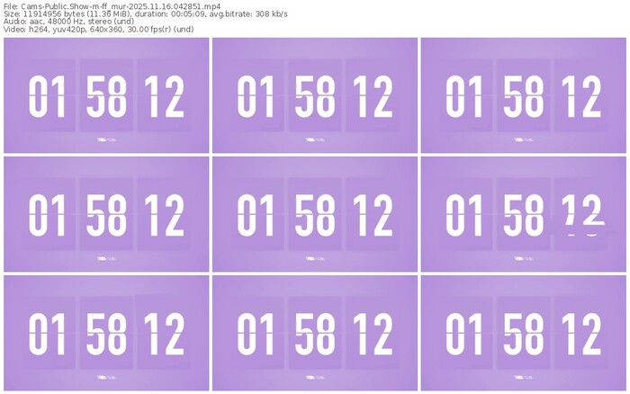 cams-ff_mur-11-16-2025-04-28-51