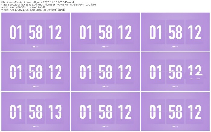 cams-ff_mur-11-16-2025-05-13-45