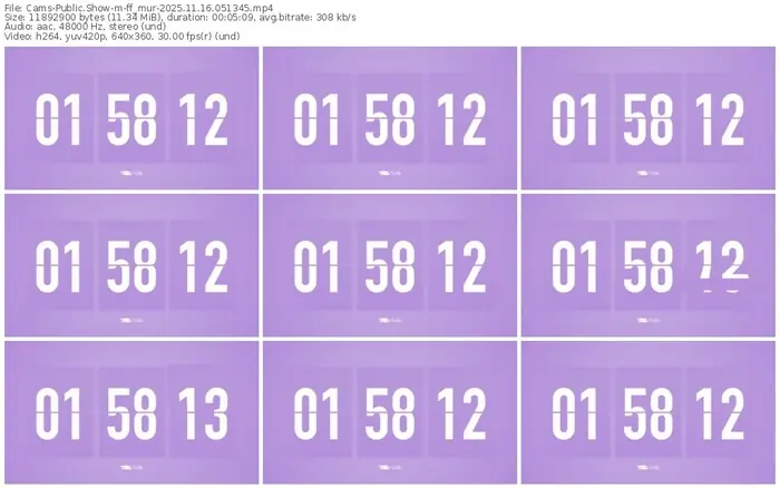 cams-ff_mur-11-16-2025-05-13-45