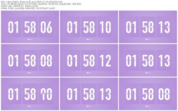 cams-ff_mur-11-16-2025-05-32-44