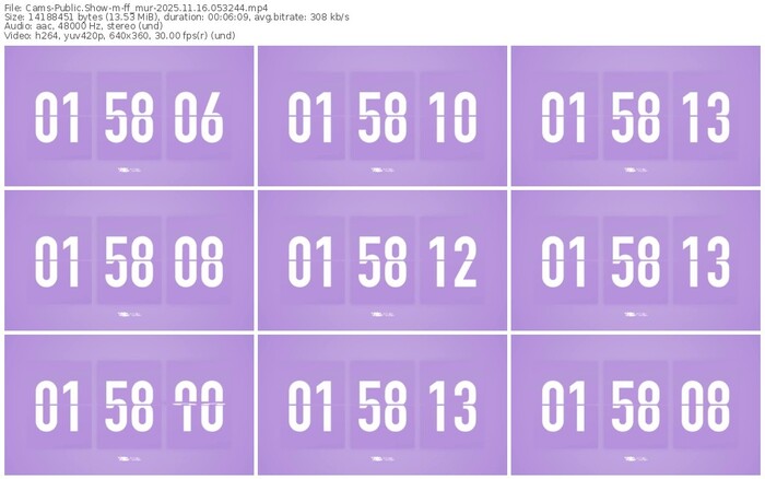 cams-ff_mur-11-16-2025-05-32-44