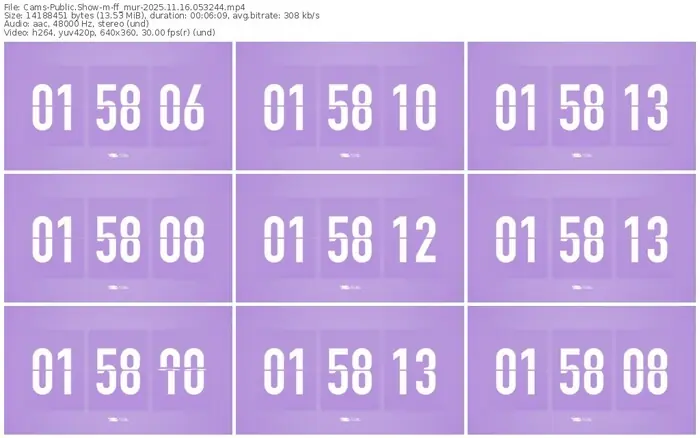 cams-ff_mur-11-16-2025-05-32-44