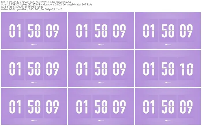 cams-ff_mur-11-16-2025-06-24-02