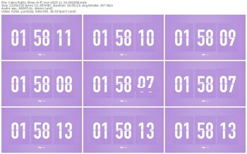 cams-ff_mur-11-16-2025-06-29-08