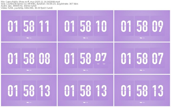 cams-ff_mur-11-16-2025-06-29-08