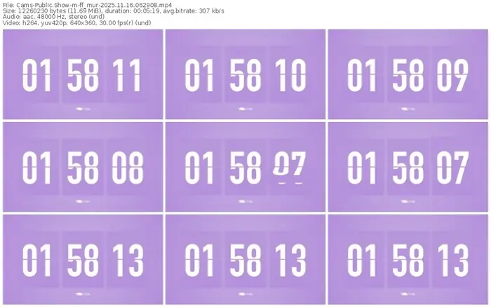 cams-ff_mur-11-16-2025-06-29-08