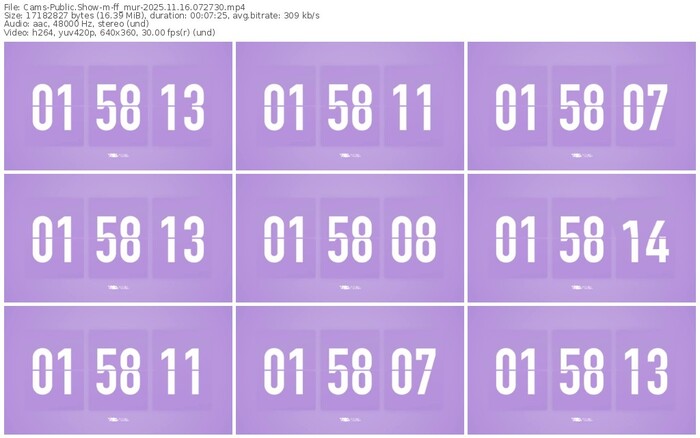 cams-ff_mur-11-16-2025-07-27-30