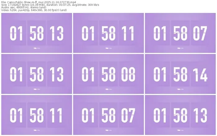 cams-ff_mur-11-16-2025-07-27-30