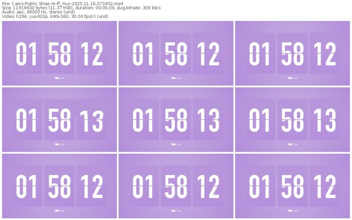 cams-ff_mur-11-16-2025-07-34-52