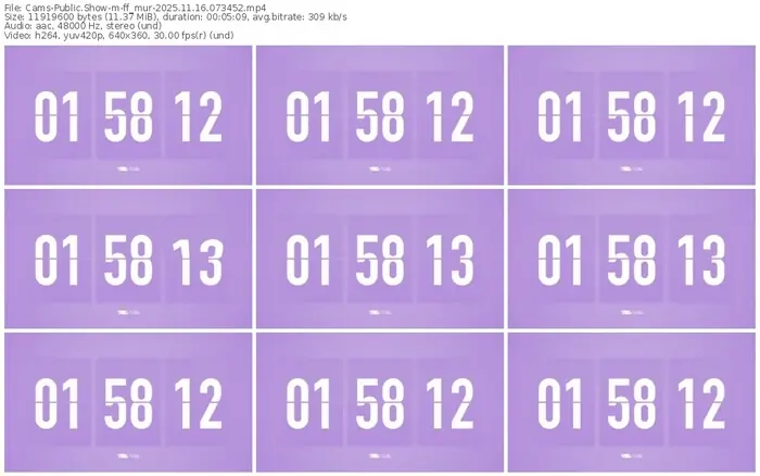 cams-ff_mur-11-16-2025-07-34-52