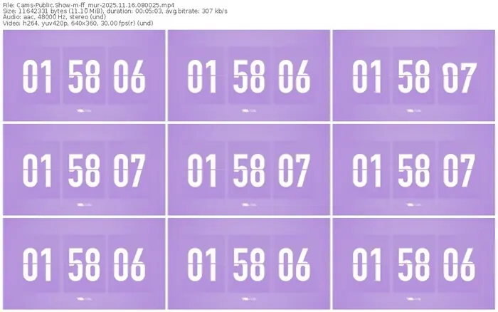 cams-ff_mur-11-16-2025-08-00-25