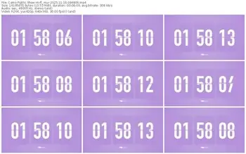 cams-ff_mur-11-16-2025-08-48-06