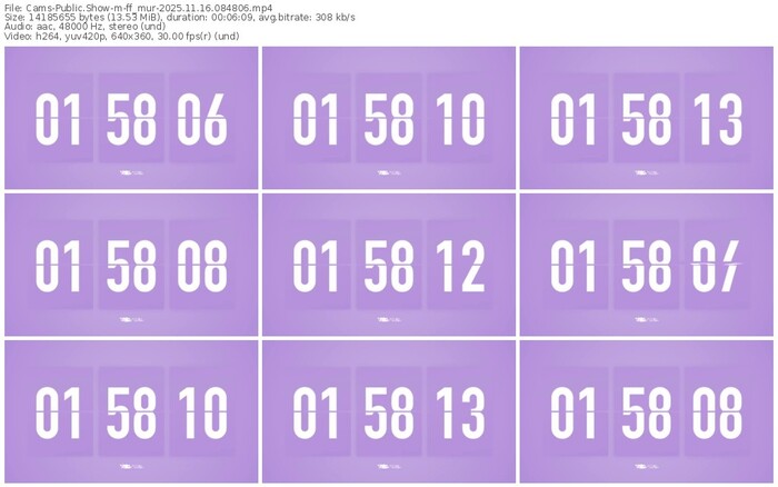 cams-ff_mur-11-16-2025-08-48-06