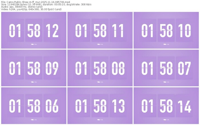 cams-ff_mur-11-16-2025-08-57-06