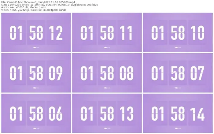 cams-ff_mur-11-16-2025-08-57-06