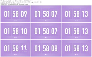 cams-ff_mur-11-16-2025-09-15-14