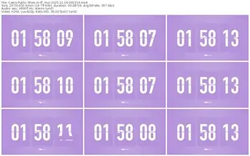 cams-ff_mur-11-16-2025-09-15-14